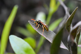 blog image